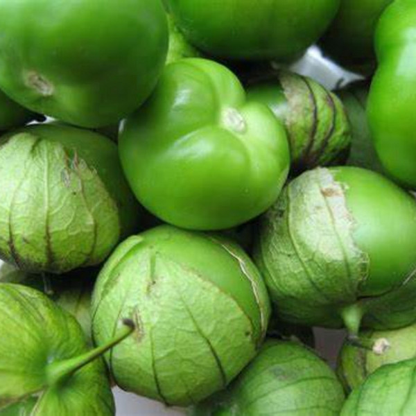 Tomatillo