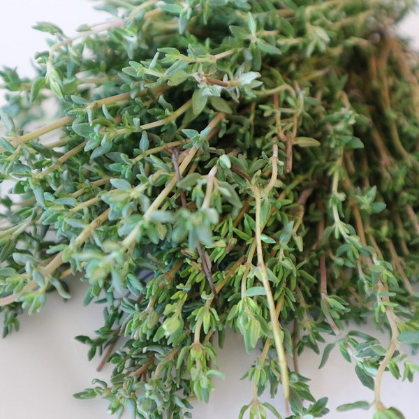 Thyme