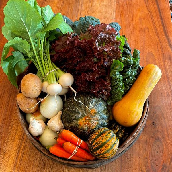 2026 Custom Drop-off Share (THU)