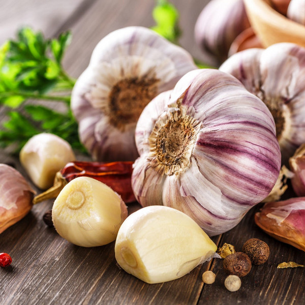Garlic - Fall CSA