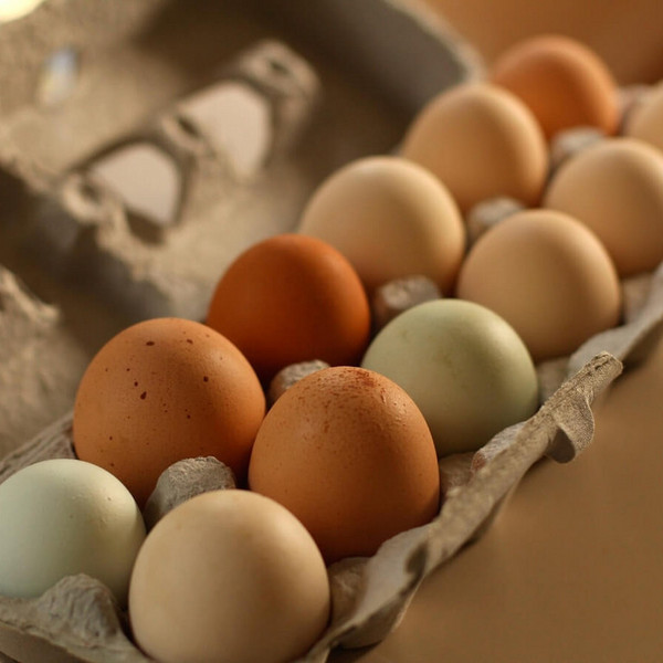 Eggs