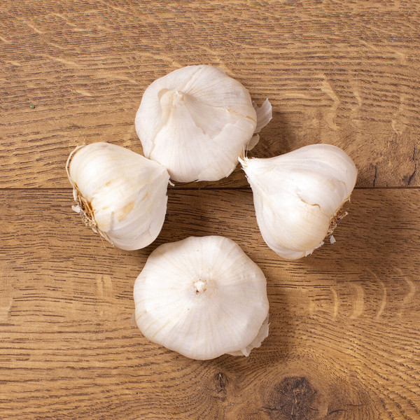 Garlic