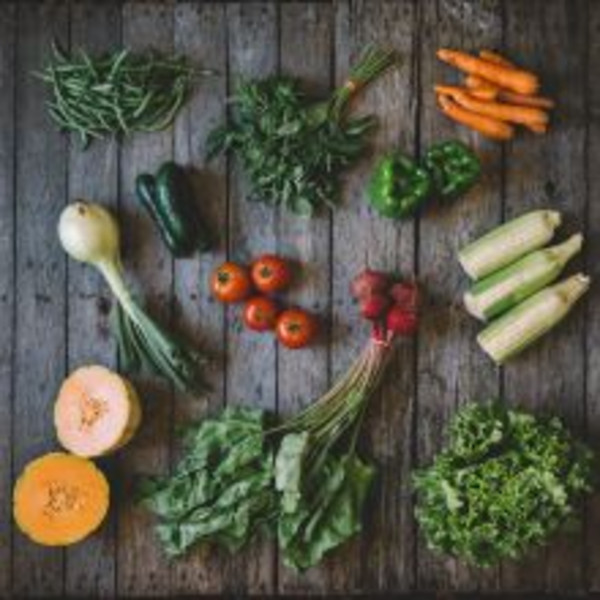 Vegetable Share (Western Nevada County/Auburn)