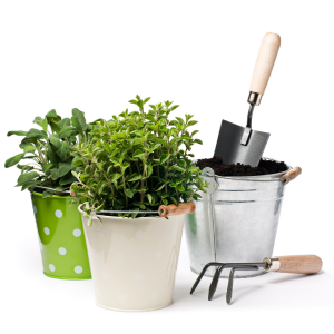 Garden Supplies