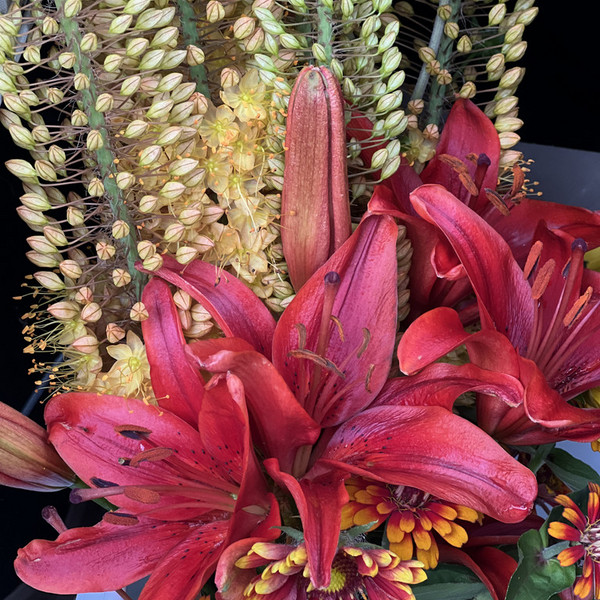 2025 Flower Share