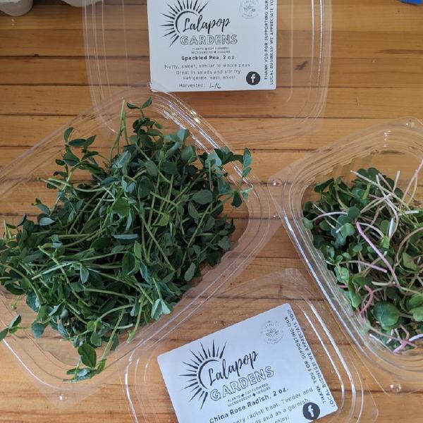 2026 Lalapop microgreens share 9 bi-week $60