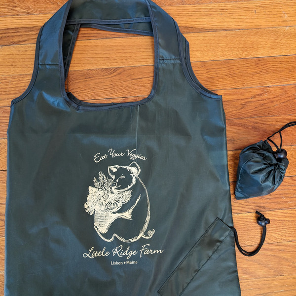 Reusable Shopping Bag, green