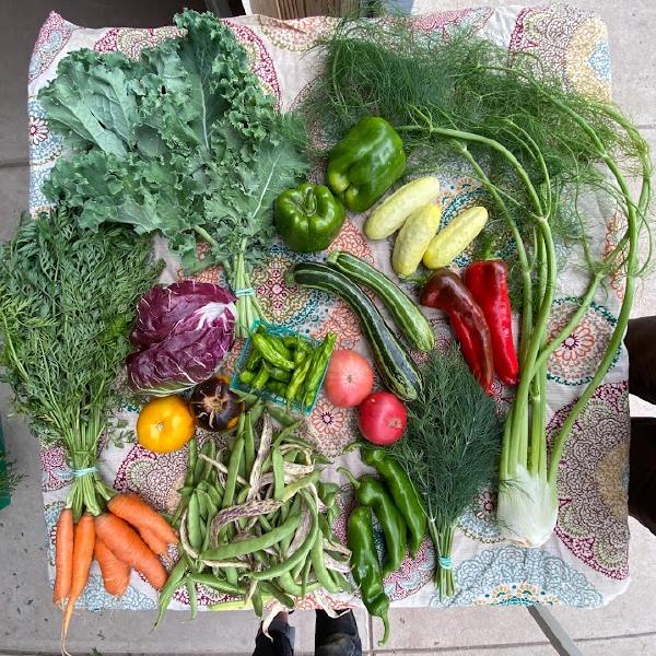 2025 Standard Vegetable Share