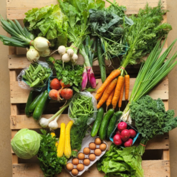 Veggie Subscriptions