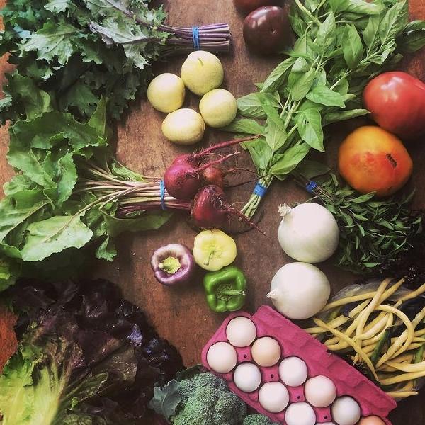 Customizable Veggie Share