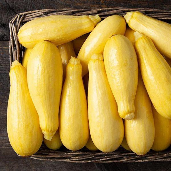 20lb case of Organic Yellow Squash
