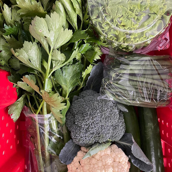 2025 Summer Share- Small