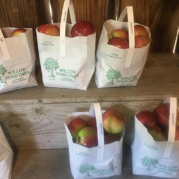 Apples