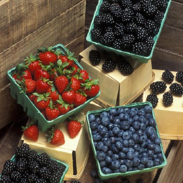 Fruit share - 12 wks - Spring 2026