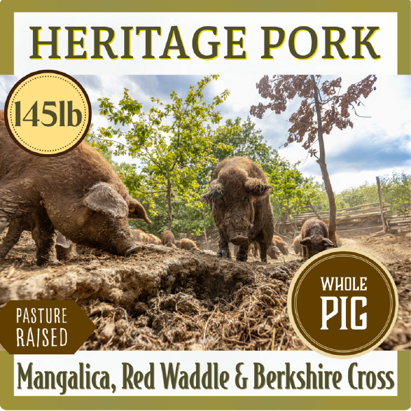 Whole Heritage Pig (145lbs)