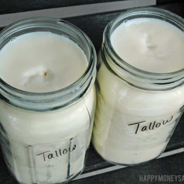 Beef Tallow
