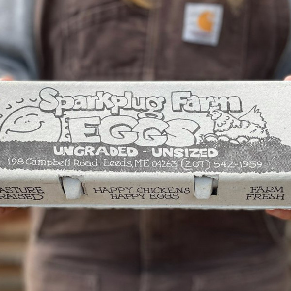 Eggs, organic