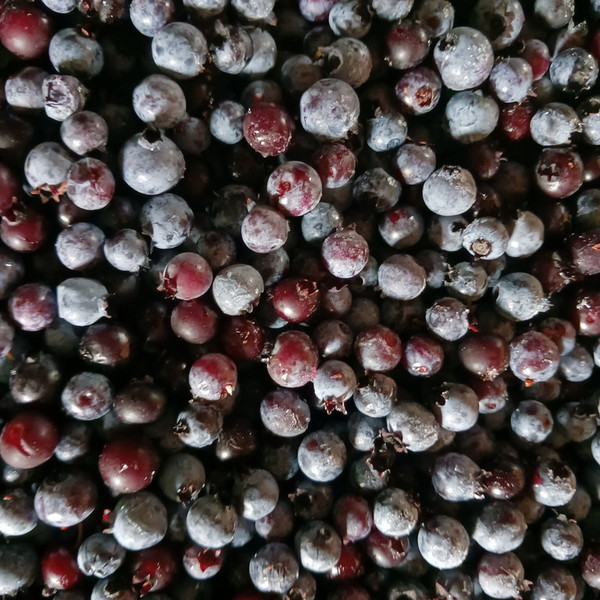 Blueberries