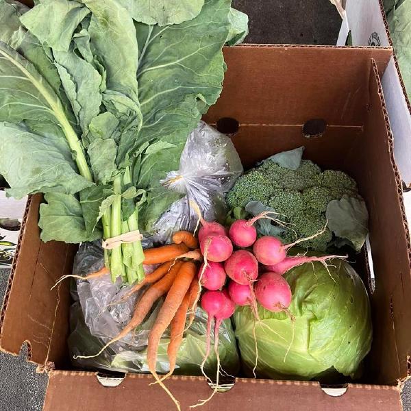 Veggie - Full Share