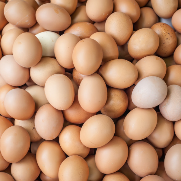 Egg Subscription