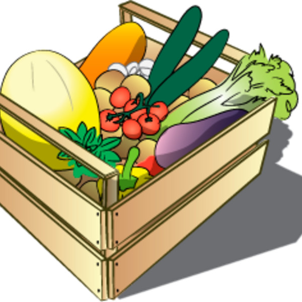 One Time CSA Share