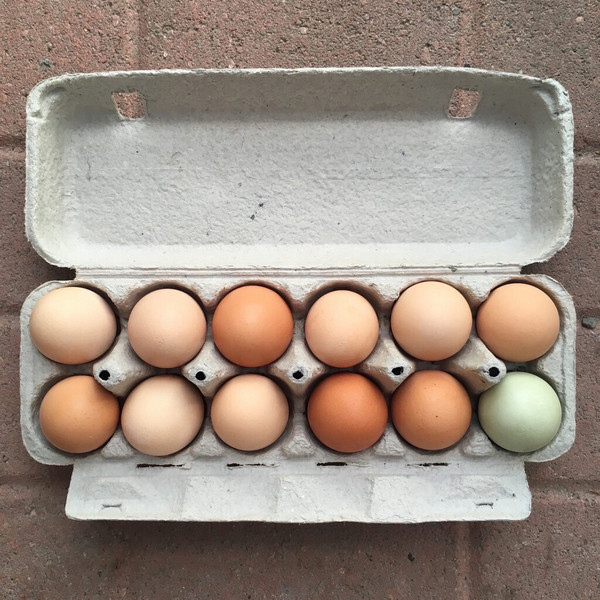 Eggs