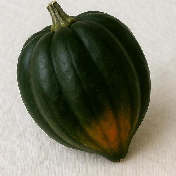 Acorn Squash