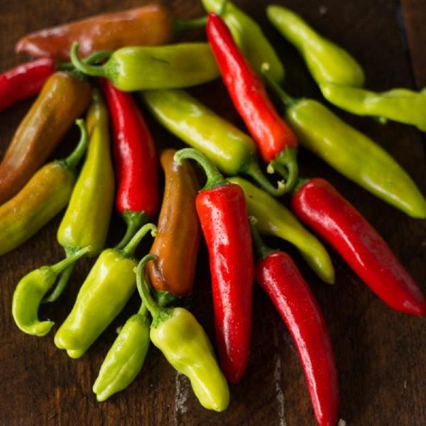 Italian Pepperoncini Hot Pepper