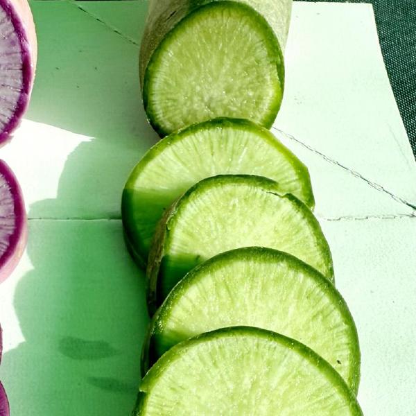 Radish, Honeydew