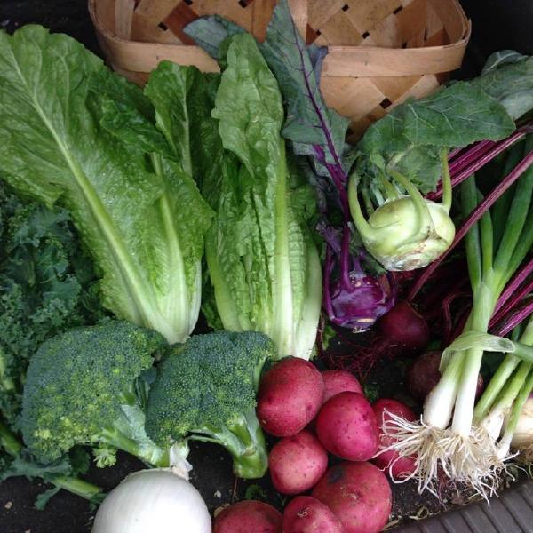 Vegetable Share - 26 weeks - Dec. 2025-June 2026