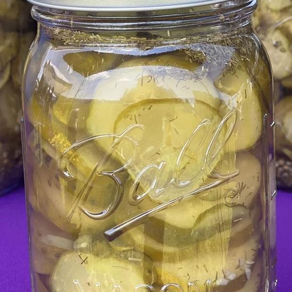 Hotz N' Notz Pickles