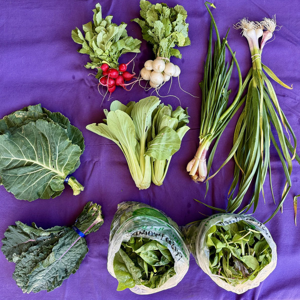 2025 Summer Farmers Choice
