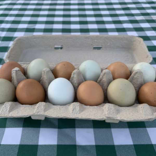 Rainbow Eggs, Kepner Farms