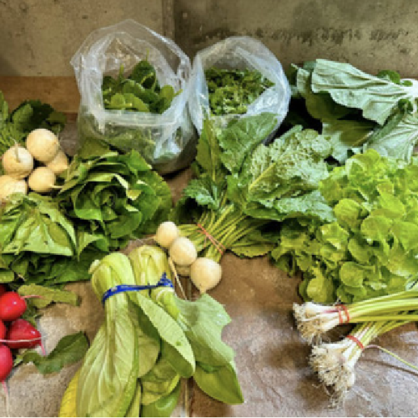 2026 Spring CSA - 6 weeks