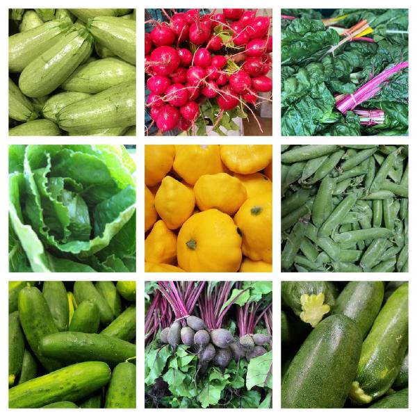 2026 Summer Vegetable - Early Bird Special (offer ends 1/2/26)