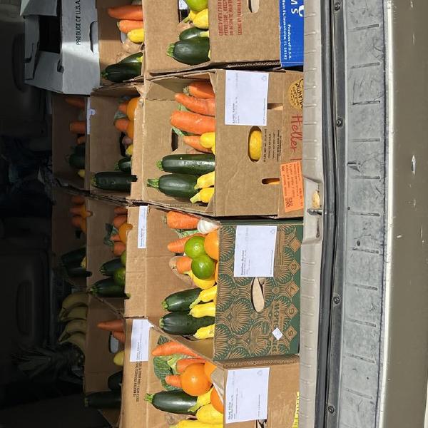 Weekly Produce Boxes