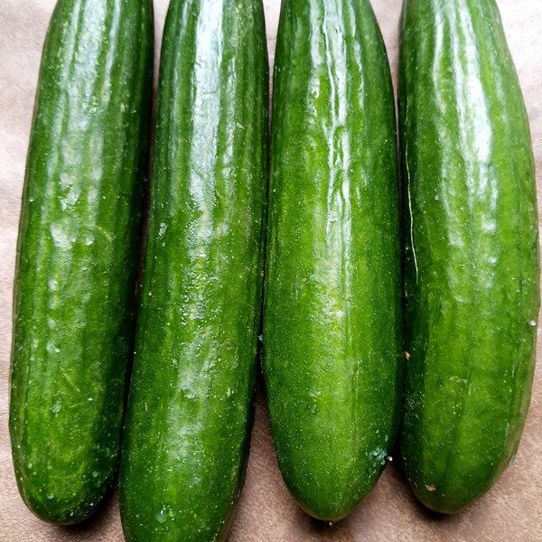 Cucumbers, Persian