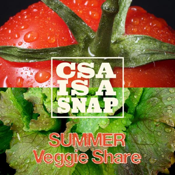 CSA Is A SNAP Summer Veggie Share