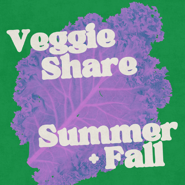 Summer & Fall Veggie Share