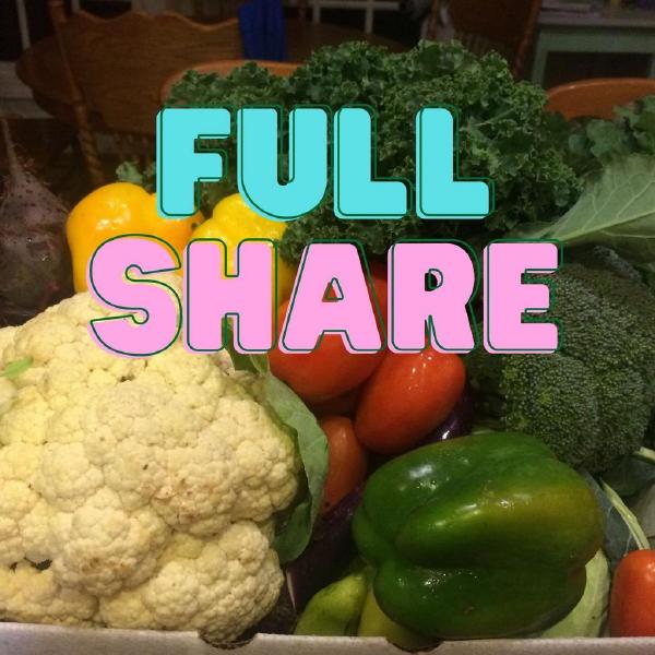 2026 Summer Vegetable FULL Share