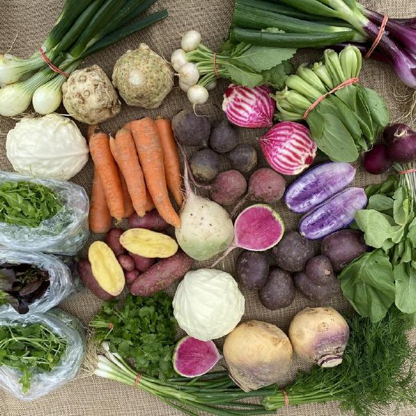 2026 Family Sunrise Share