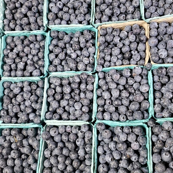 Blueberries