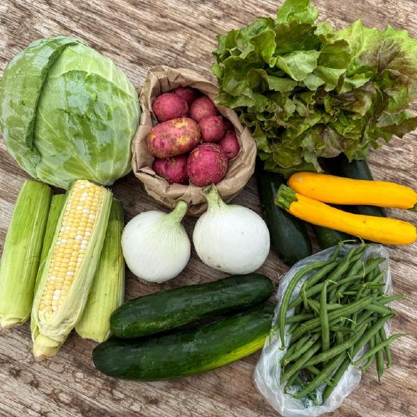 2026 Summer Solo Share