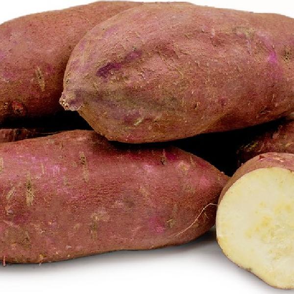 Organic Golden-flesh Japanese Muraski Sweet Potatoes