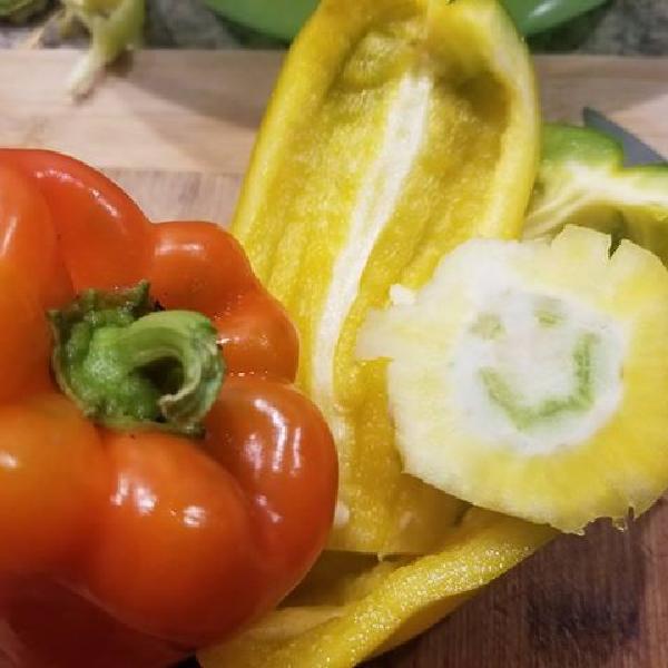 Greens & Goods Winter Share part II