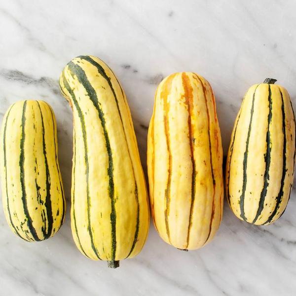 Organic Delicata Squash