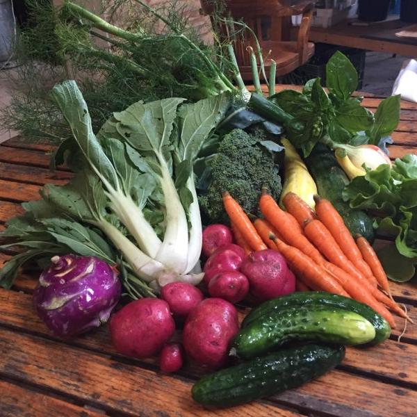 2026 Half Vegetable Share Bi-Weekly 9wk June -Oct $345