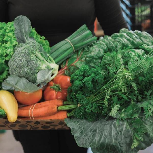 RRF Fall vegetables