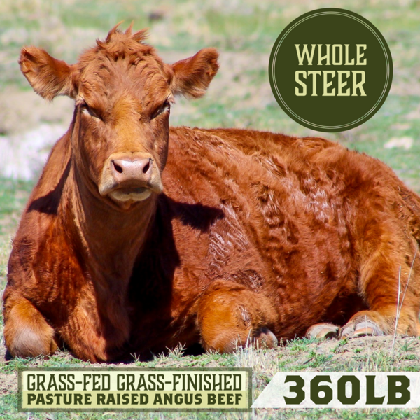 Whole Steer Grass-Fed Grass-Finished Pasture-Raised