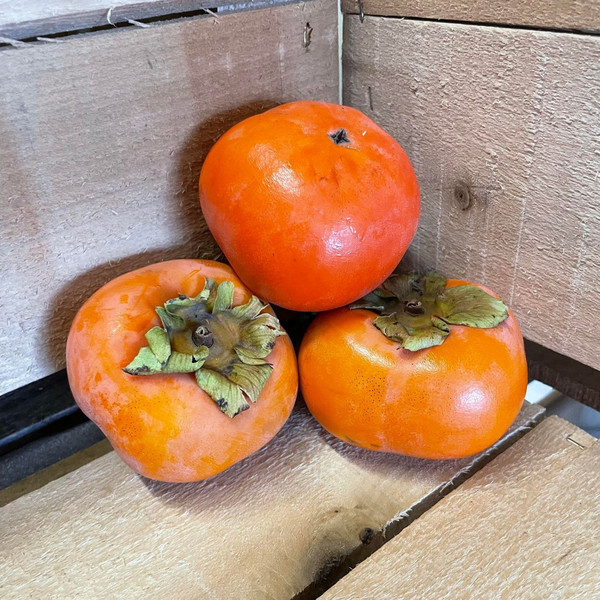 Persimmons